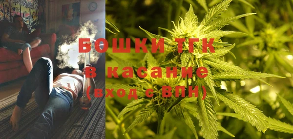 дживик Козельск