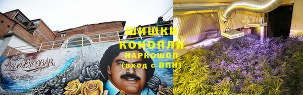 прущая мука Козловка