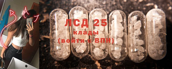 дживик Козельск