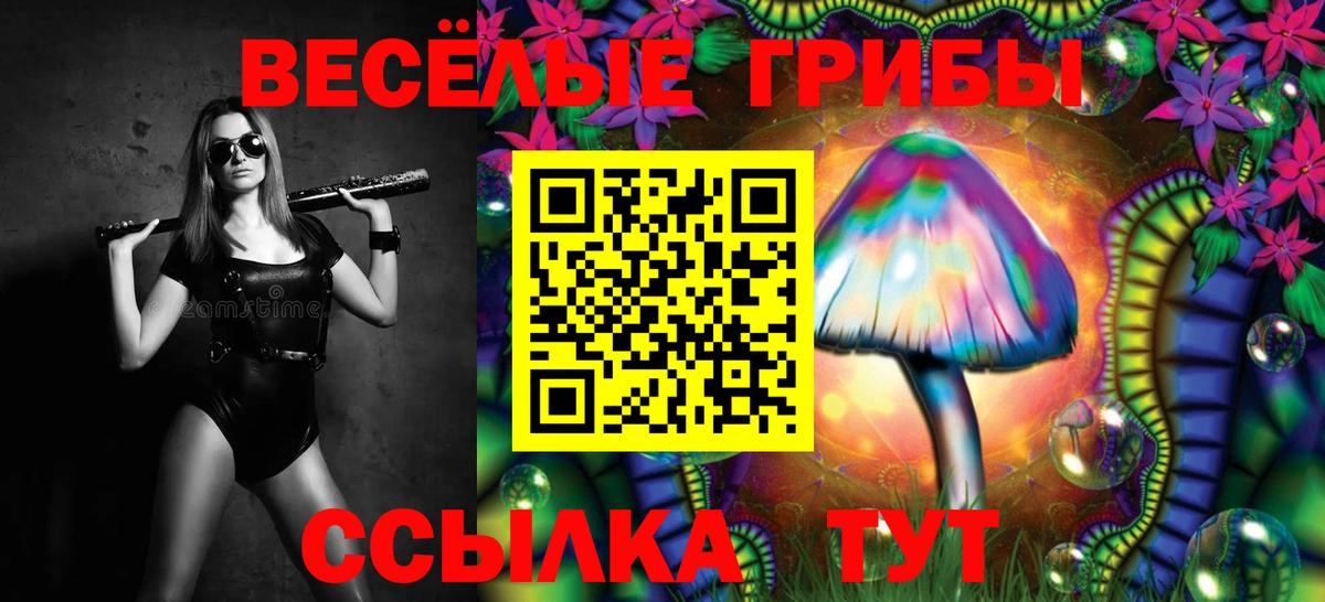 Псилоцибиновые грибы Psilocybe  Вход с VPN  Лангепас 